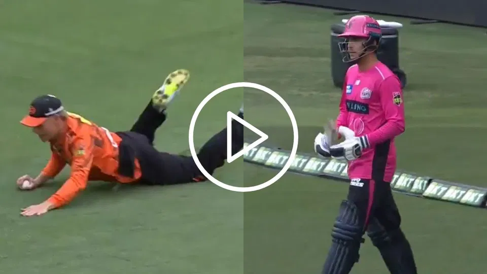 Watch- BBL Final marred by umpiring controversy, batter called back after dismissal